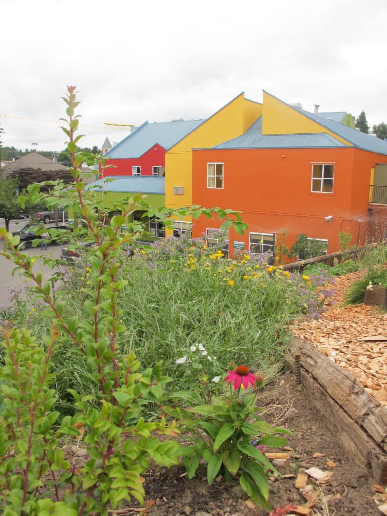 After: A beautiful food forest integrated with buildings on an urban site