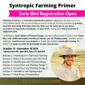 Syntropic Farming Primer with Scott Gallant